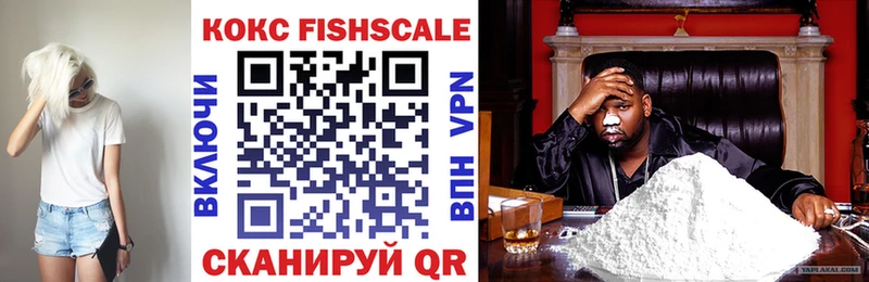 mega ссылка  продажа наркотиков  Будённовск  Cocaine Fish Scale 