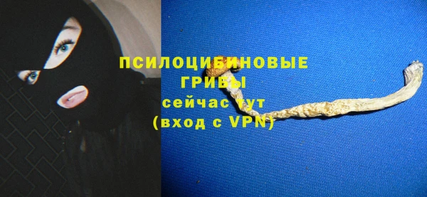 эйфоретик Белокуриха