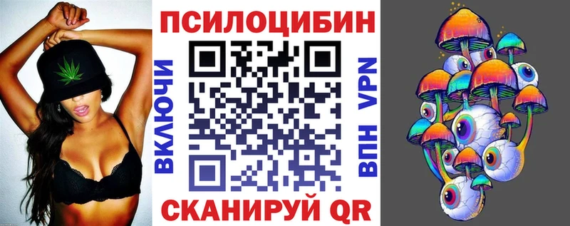 Галлюциногенные грибы Psilocybe  Будённовск 